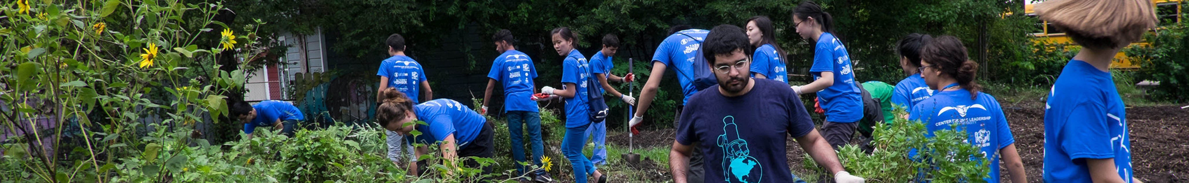 Our Community | Office of Admission | Rice University