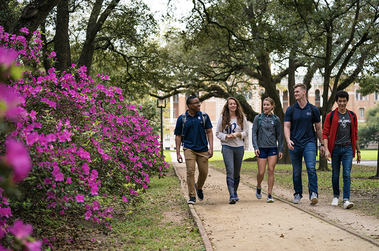 Undergraduate Students