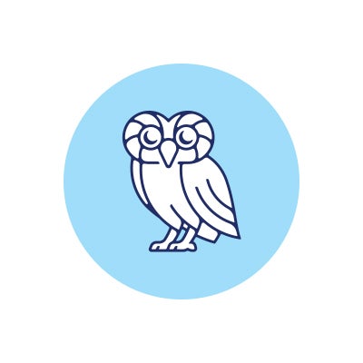 Rice Owl