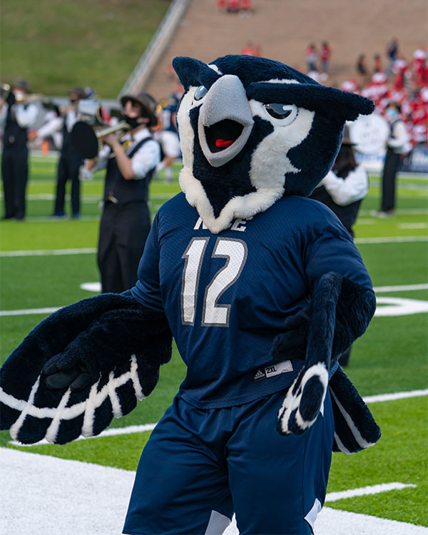 The Rice mascot, an owl wearing a blue jersey, is standing on a football field.