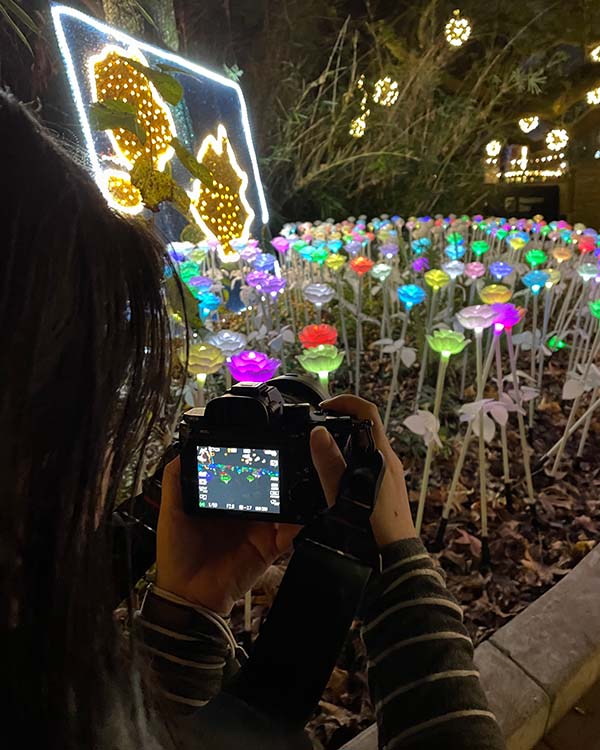 Picture taken over the shoulder of Sarah, a Rice alumna, taking a picture of a field of lit up flowers with a digital camera.