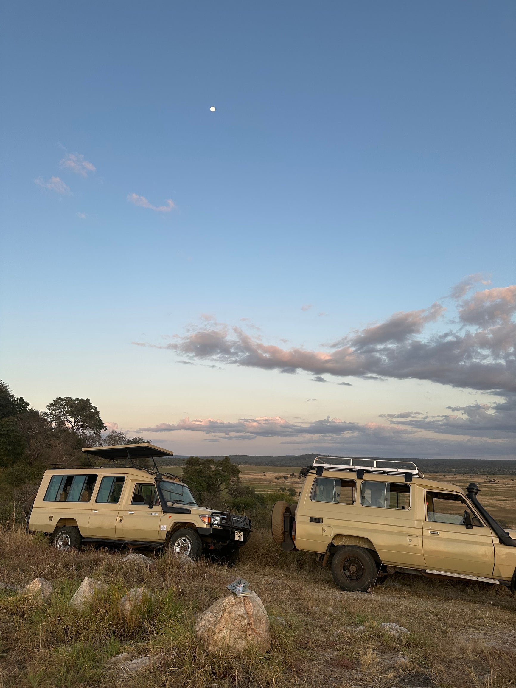 A convoy of 2 tan suv's made for traveling through rough terrain