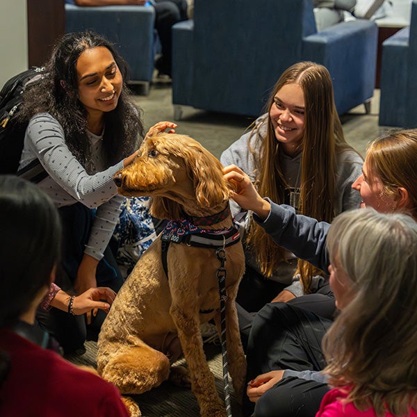 Students huddled around a dog, stroking its fur