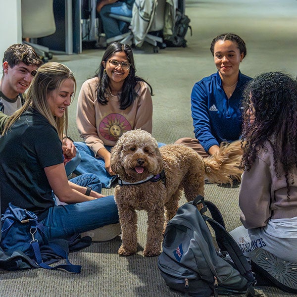Circle of happy people sitting around a dog looking up at the camera