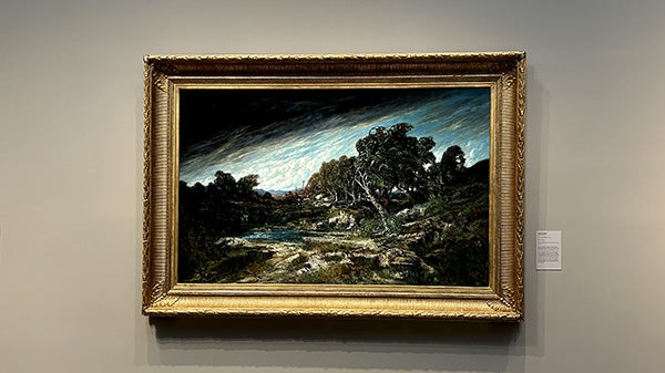 Artwork on a wall in a gallery