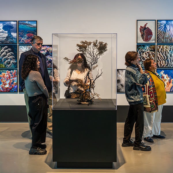 People standing behind glass case with large floral art; wall with art behind them 