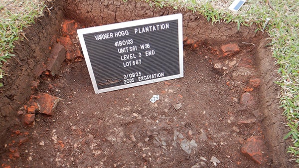 Inside of excavation plot