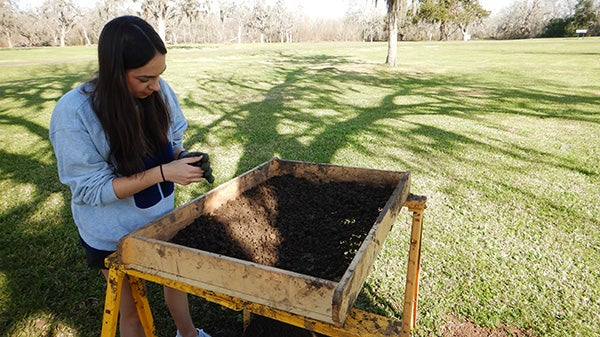 Girl sifting through a table of dirt