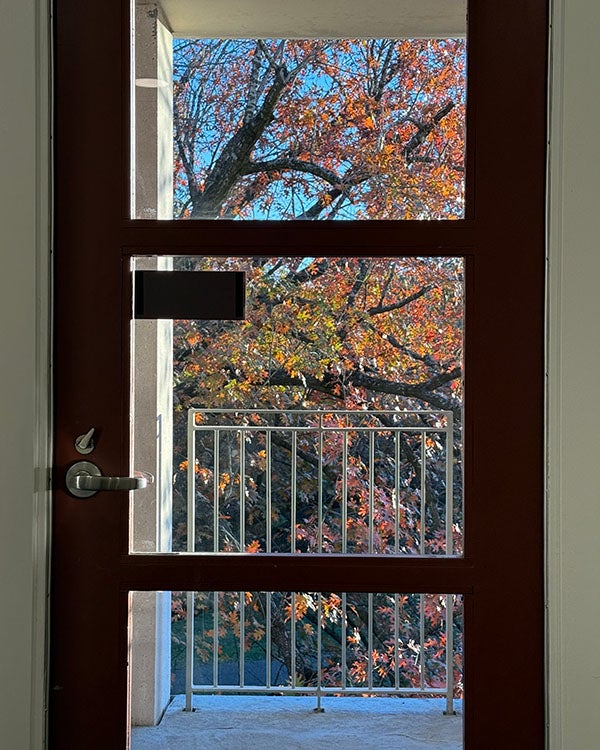 Door with colorful tree outside displaying fall colors