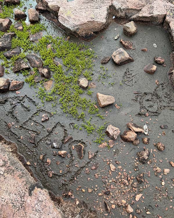 EEPS craved into a plot of mud