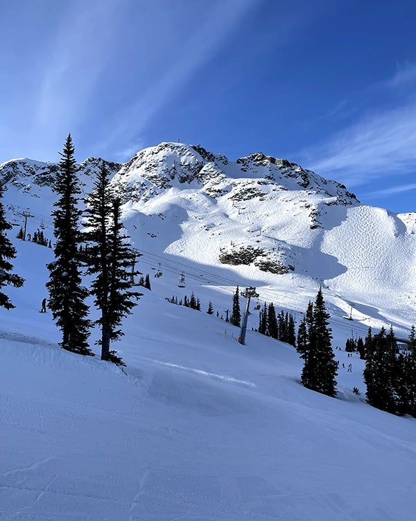 snowy mountain with sparse trees