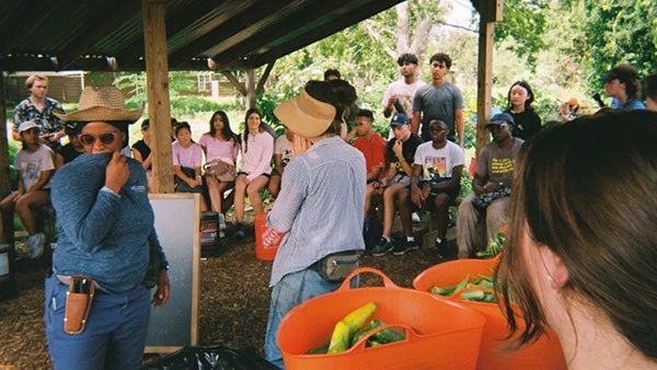 People under a covered pavillion