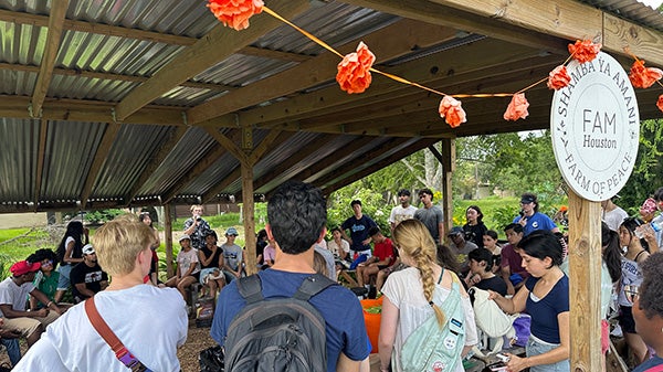 People standing under a covered pavillion with nice decorations