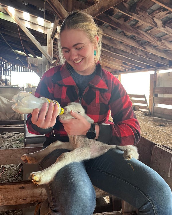 Girl feeding a small lamb with a milk bottle