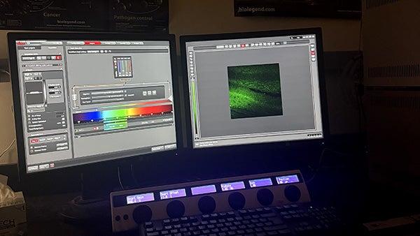 Two computer screens