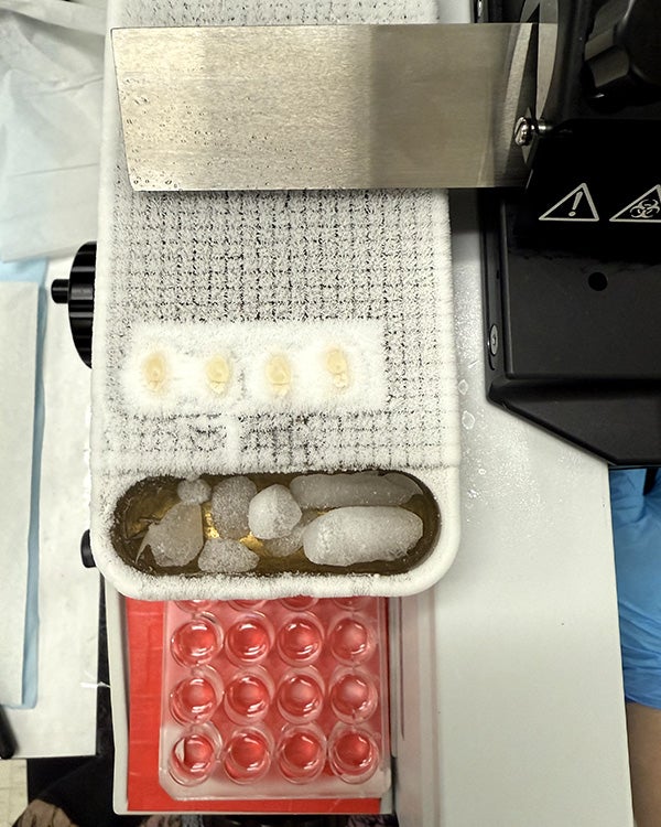 lab equipment