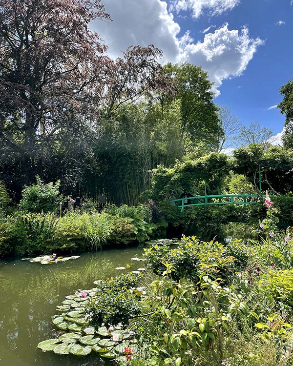 Bridge over a stream surrounded by greenery