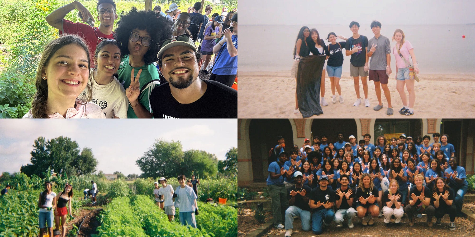 Collage of four photos with people taking a selfie, people on the beach, people in rows of crops, and people together in front of a building
