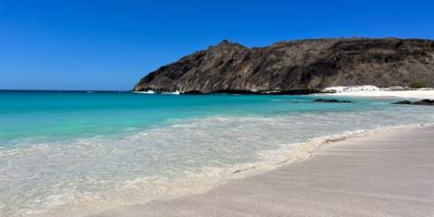 The Galapagos beach with white sand and bright blue water 