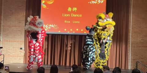 A duo of lion dancers on a large stage 