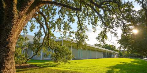 A photo of the exterior of the Menil Collection.