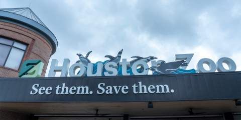 A photo of the front entrance of the Houston Zoo.