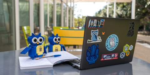 Two LEGO owls on a table with a journal and laptop with stickers