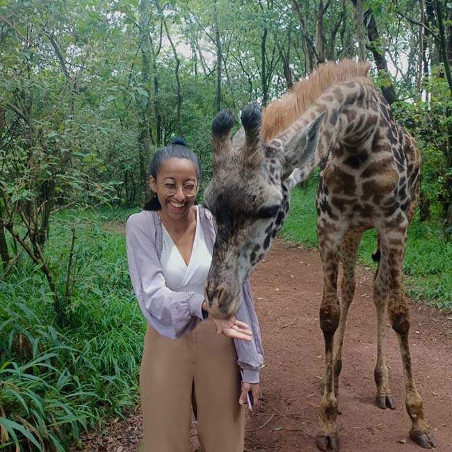 Mehek, a Rice student, holds out her hand for a giraffe standing next to her to eat out of.