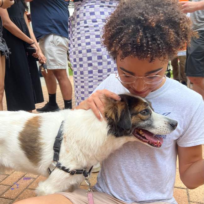 A student petting a small white and brown dog 