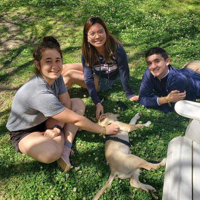 Students posing on the grass with a small golden dog
