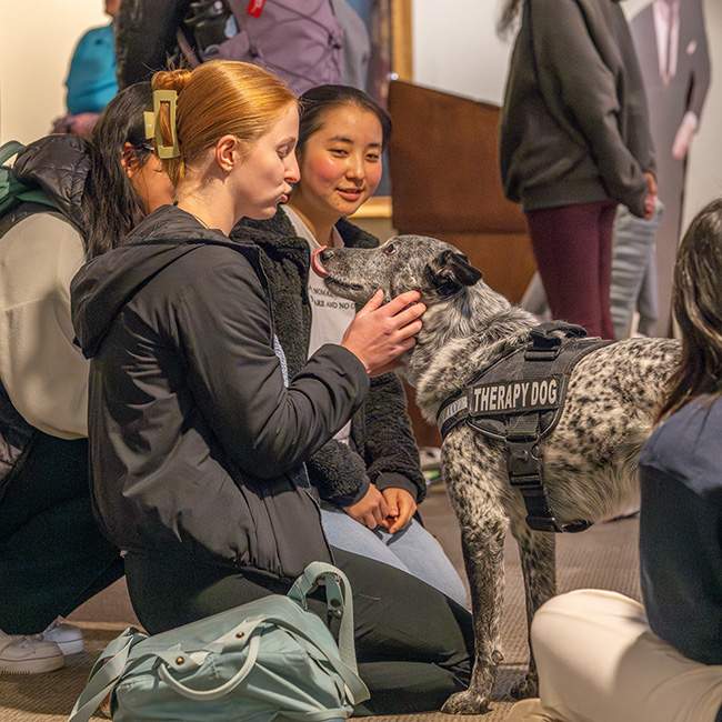 A redheaded college student petting a dog 