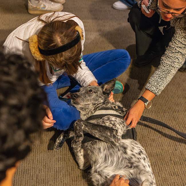A dog laying in the lap of a female college student 