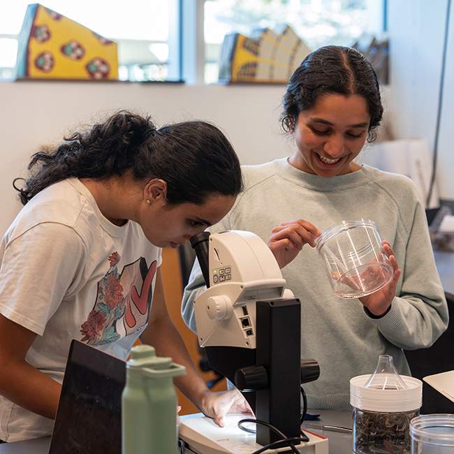 Two girls, one picking samples and the other looking through a microscope