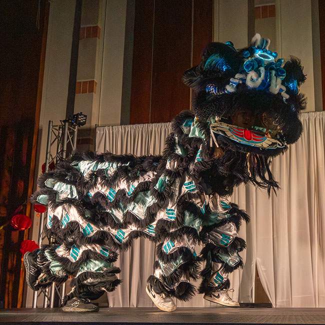 Huge Chinese lion mascot costume on a stage